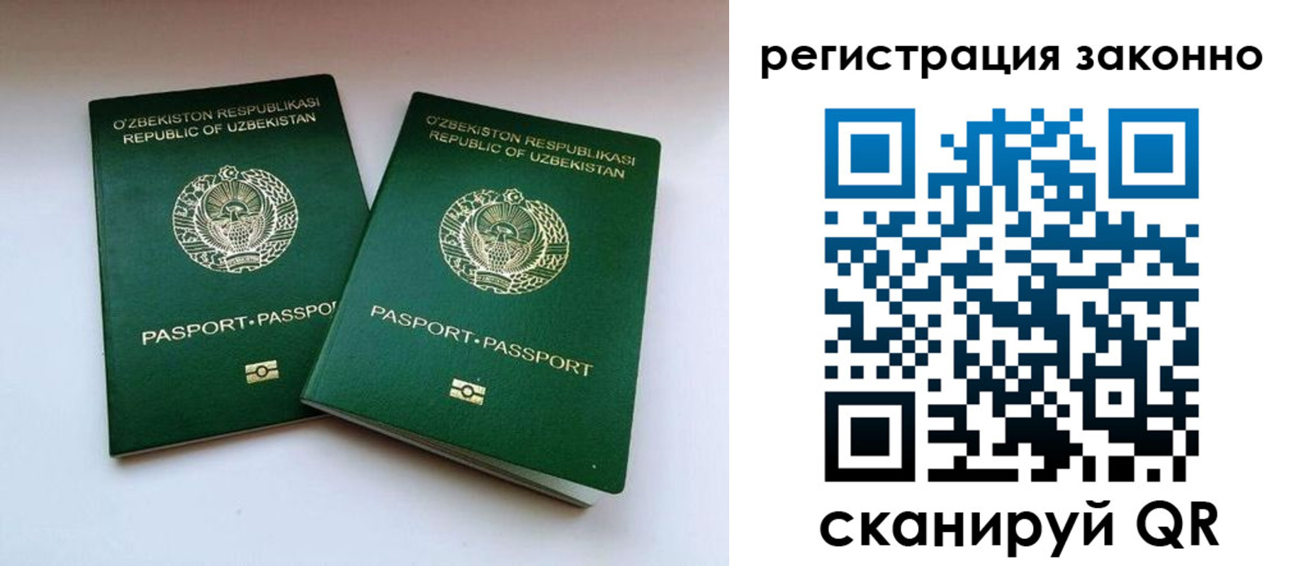 прописка гарантия в Отрадном